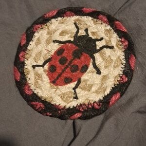 Ladybug Coaster